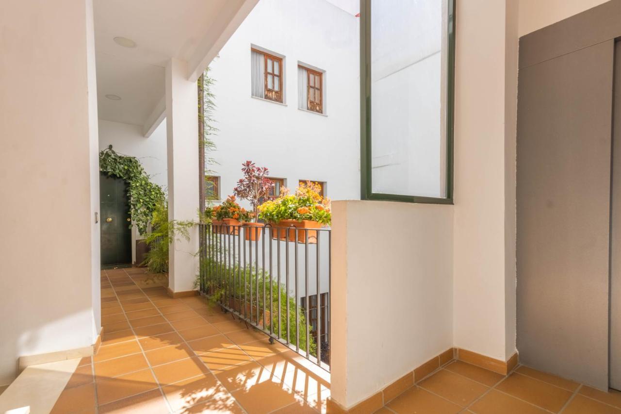 Apartamento Anais Centro Sevilla エクステリア 写真